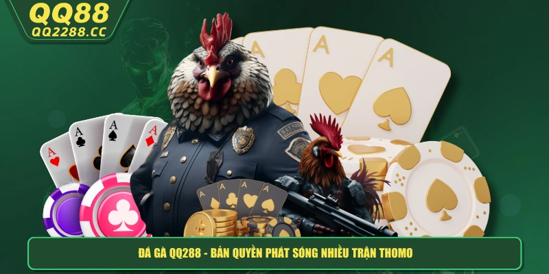 QQ288 - TRANG CHỦ Đá gà QQ288 - Bản quyền phát sóng nhiều trận Thomo