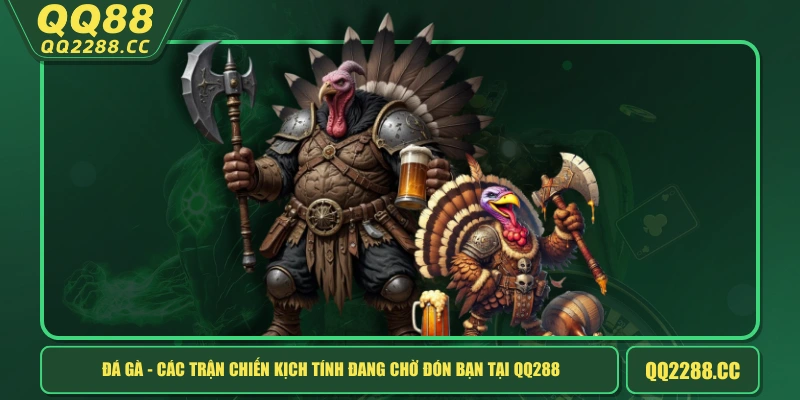 Đá Gà - Các Trận Chiến Kịch Tính Đang Chờ Đón Bạn Tại QQ288