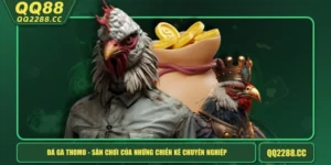 Đá Gà Thomo - Sân Chơi Của Những Chiến Kê Chuyên Nghiệp