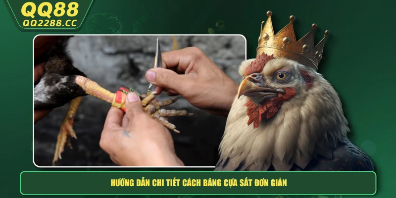 Cách Băng Cựa Sắt - QQ288 Hướng Dẫn Chi Tiết Cho Người Mới Hướng dẫn chi tiết cách băng cựa sắt đơn giản