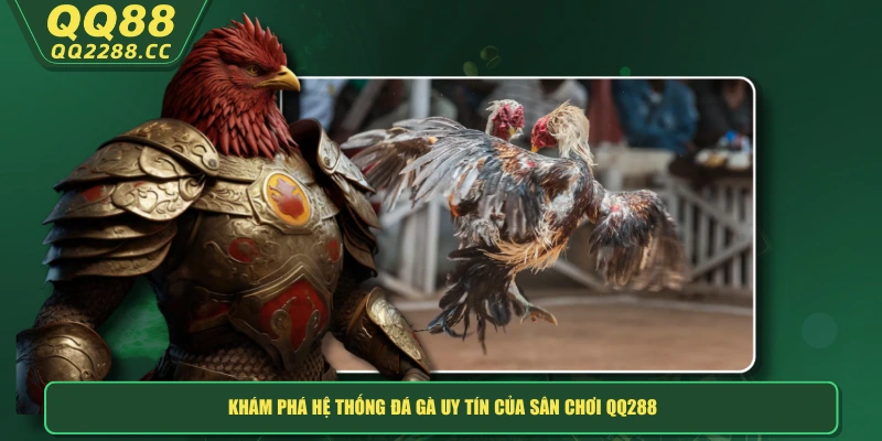 Khám phá hệ thống đá gà uy tín của sân chơi QQ288