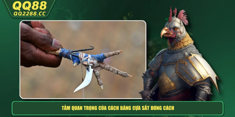 Cách Băng Cựa Sắt - QQ288 Hướng Dẫn Chi Tiết Cho Người Mới Tầm quan trọng của cách băng cựa sắt đúng cách