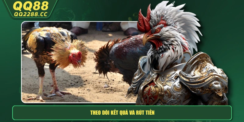 Theo dõi kết quả và rút tiền
